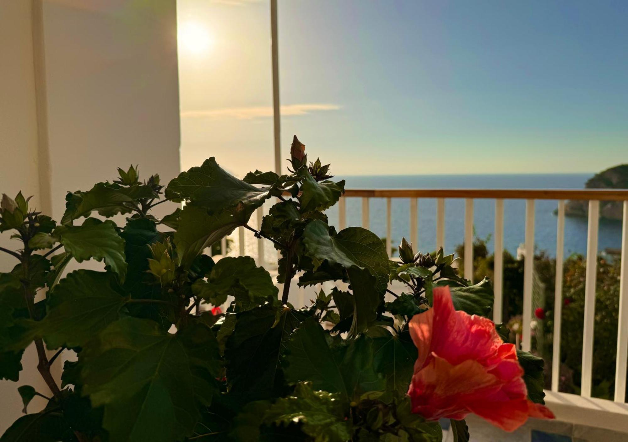 Aparthotel Ponzasmeralda Le Forna